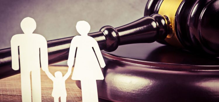 The Role of Attorneys in Guardianship Proceedings: Legal Representation in Southeast Michigan